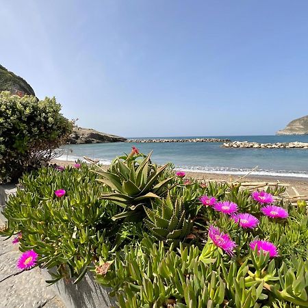 Sant'Angelo Casa Francesco Seasideアパートメント エクステリア 写真